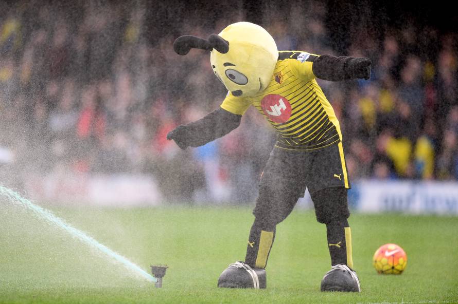 Watford v Liverpool - Barclays Premier League - Vicarage Road