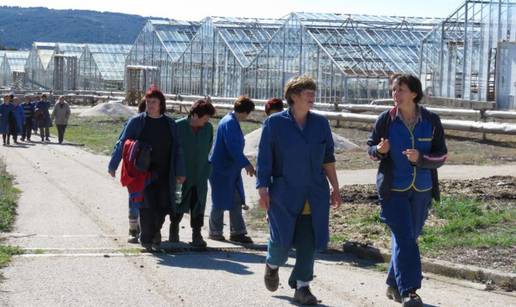 Radnici staklenika u štrajku, nisu dobili plaću od prosinca