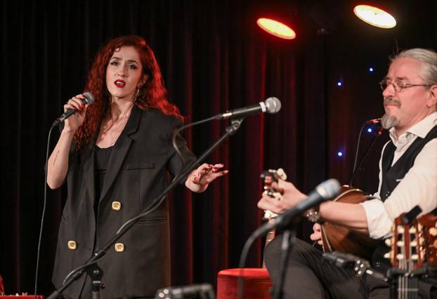 Zagreb: Koncert grupe TransAkustik i Tedija Spalata