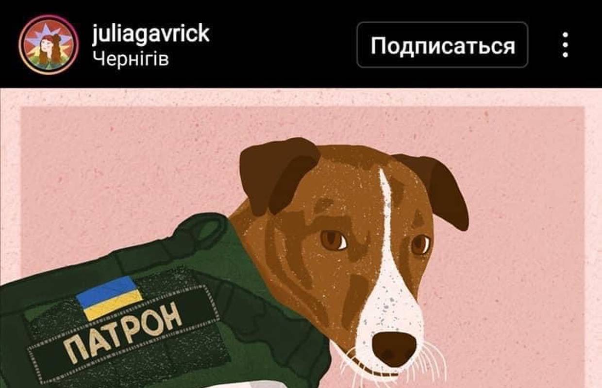 Veliki junaci nisu uvijek veliki. Ukrajinski pas Patron postao je velika zvijezda na Instagramu