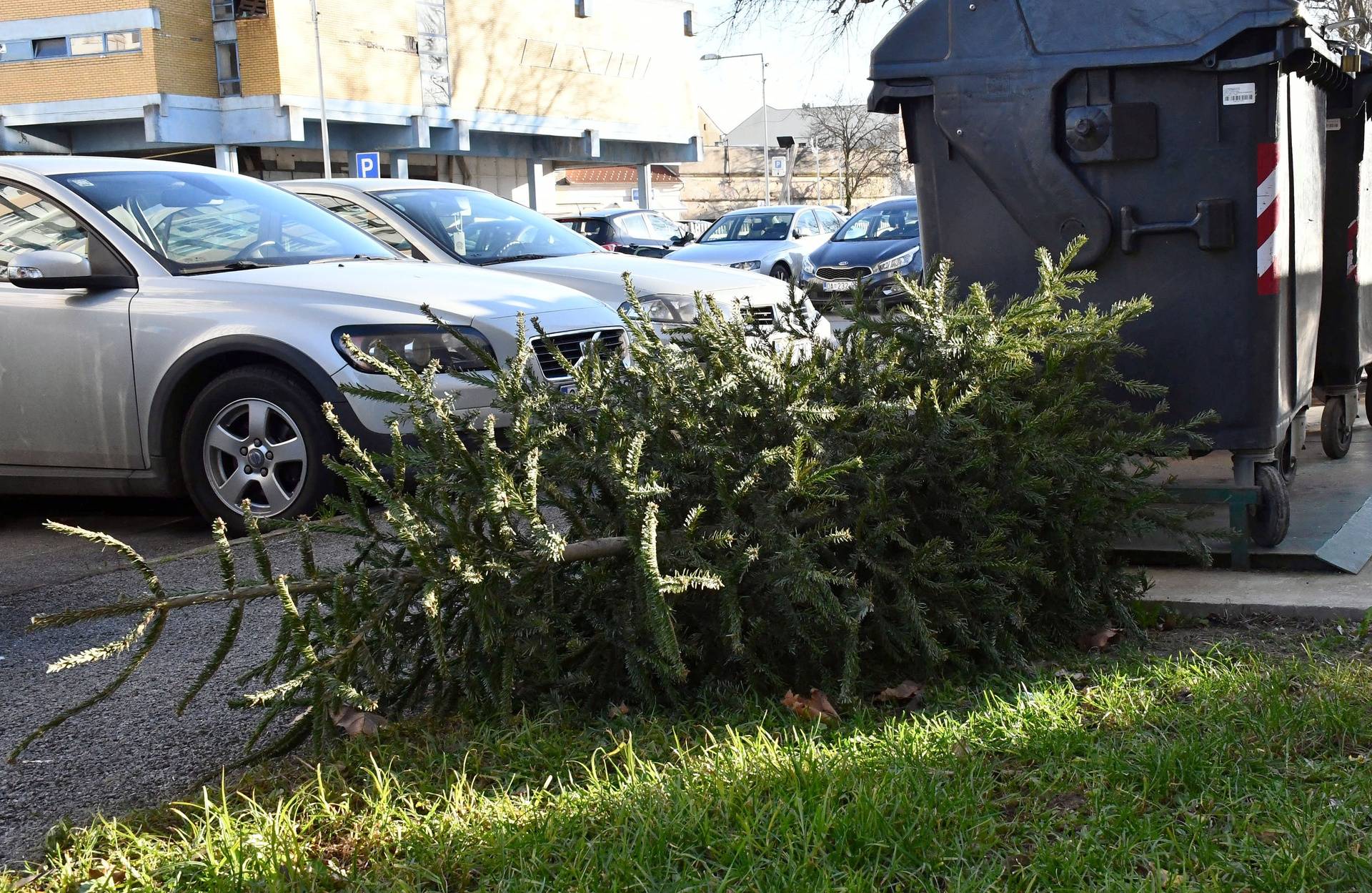 Kako ukloniti božićno drvce bez nereda i gdje ga onda odložiti?