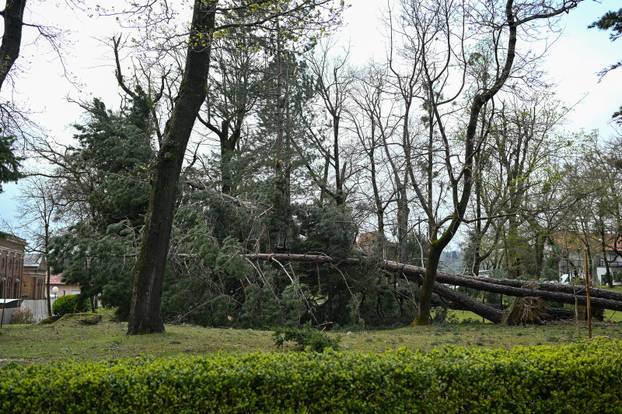 Zagreb: U nevremenu teško oštećeno gradsko groblje Mirogoj