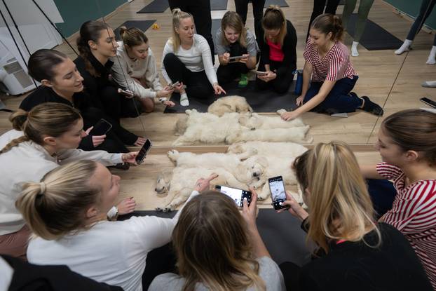 24SATA Paw Yoga, inovativni koncept joge koji je stigao u Hrvatsku