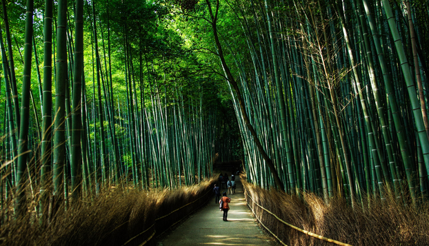 FOTO 28 svjetskih lokacija koje očaravaju, ali kriju i opasnosti