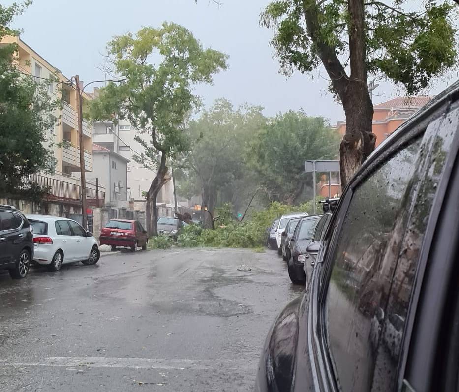 Udari vjetra lomili su grane na Marjanu, dio stabla pao na auto