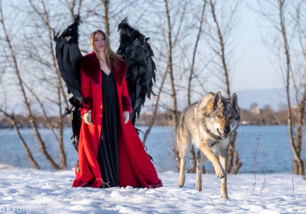 GALERIJA Nastali su od vukova, rođaci su Nazgula s Olimpijskih igara i žive kraj Velike Gorice!