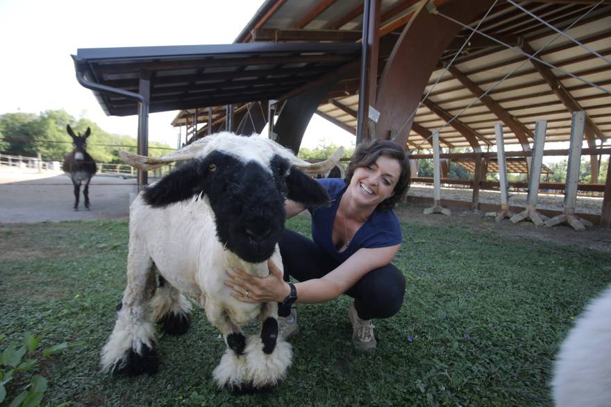 Ana Dujme&scaron;i&cacute; sa ovcom pasmine Valais Blacknose