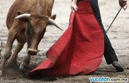 Mali toreador: Michelito od šeste godine ubija bikove