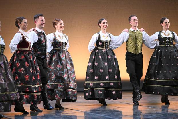 Zagreb: Humanitarni Ladov koncert korak za Korak u zivot