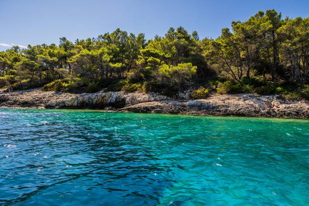 Vela Luka: Uvala Slatina