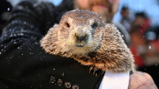 135th Groundhog Day at Gobblers Knob in Punxsutawney, Pennsylvania