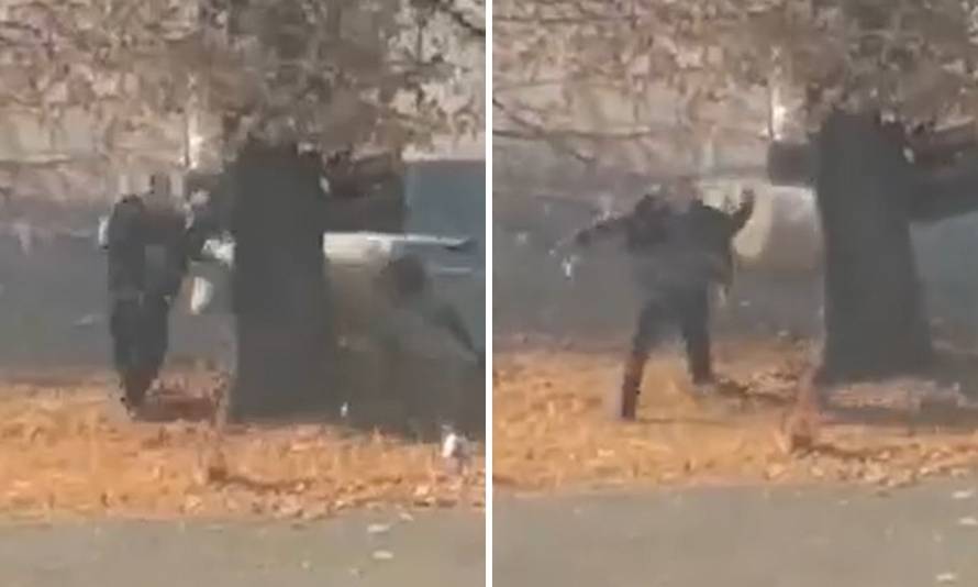 VIDEO Za dlaku! Bijeli bik usred Slatine umalo nabio čovjeka na rogove. Lovi ga policija u gradu