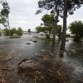 Voda do koljena: U Šibeniku su jugo i plima poplavili Jadriju