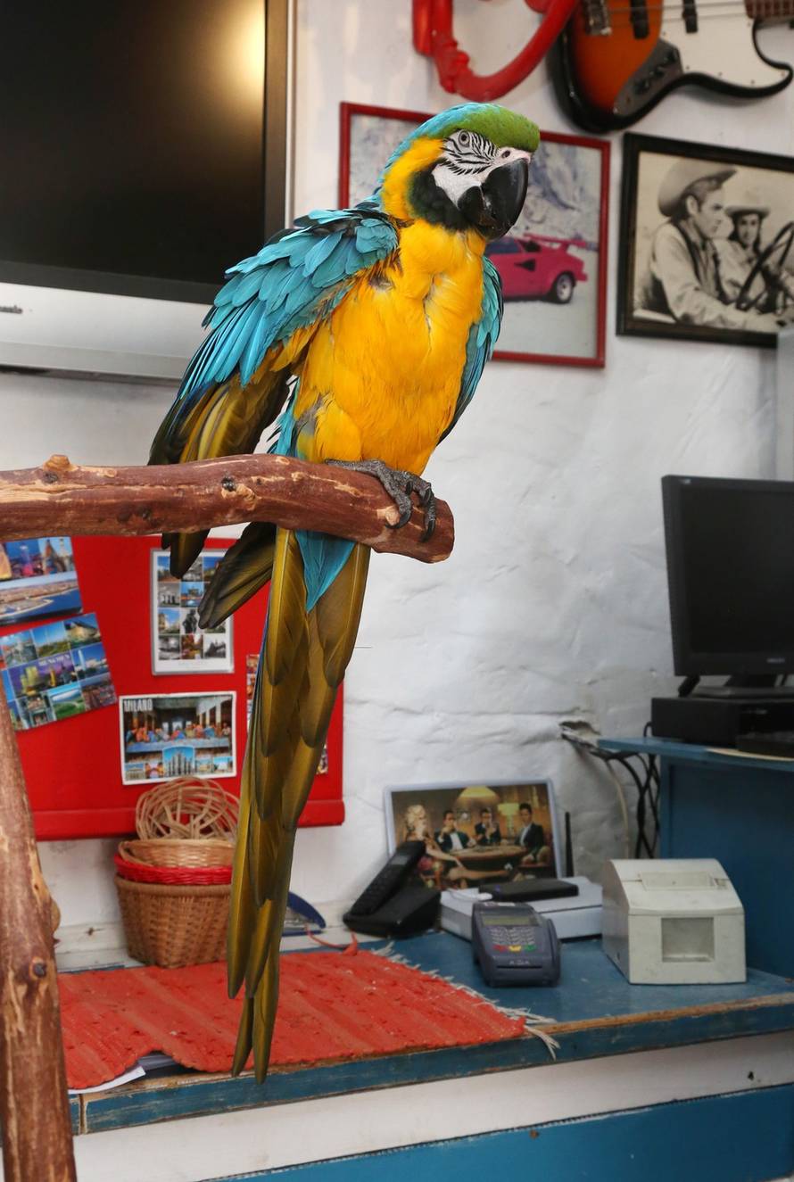 Duško Jaramaz/PIXSELL