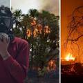 'Požar u Amazoniji mogao bi nas natjerati na brigu o prirodi'