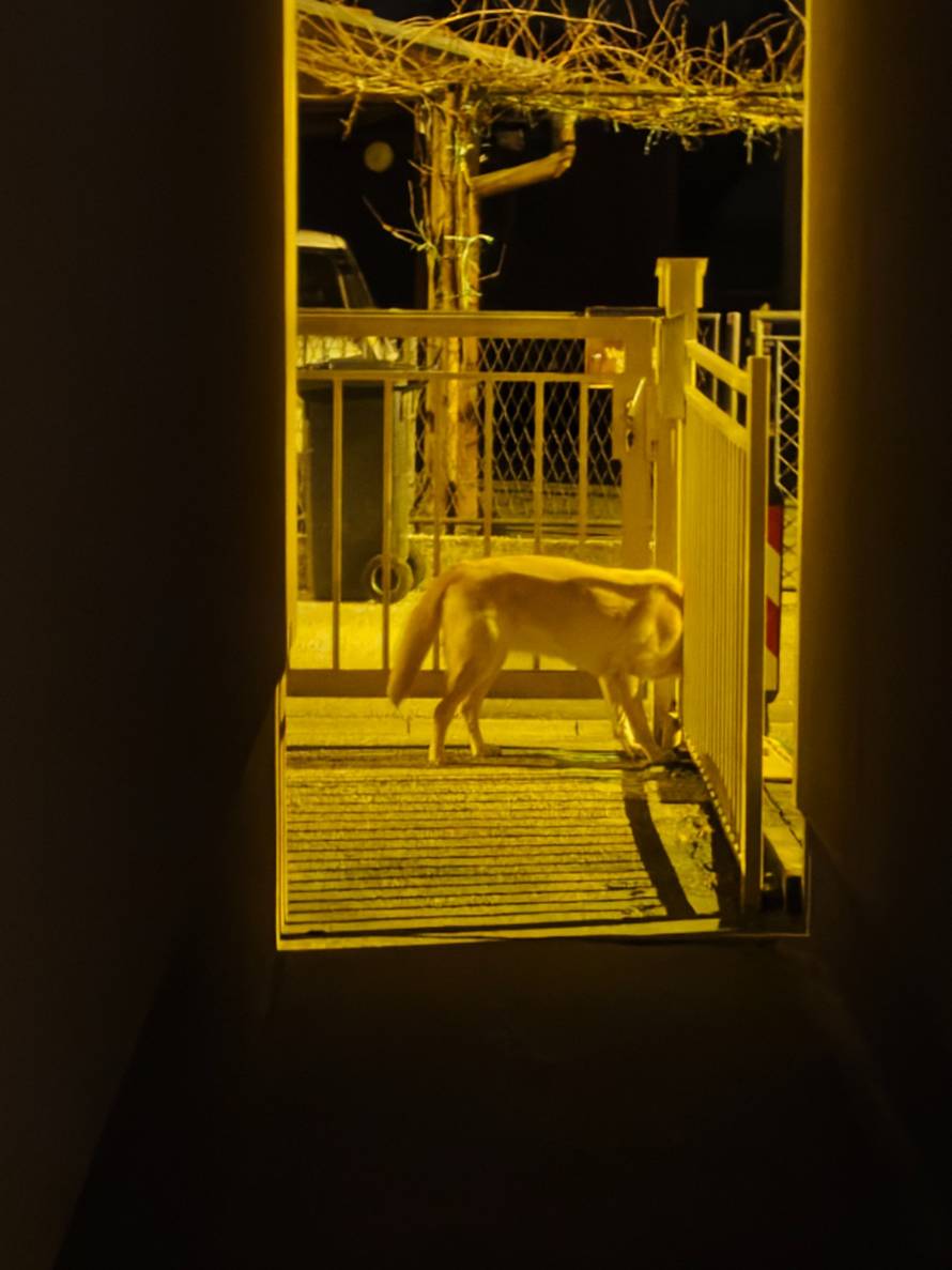 VIDEO Isprobali smo Xiaomi 17: Džepni snagator bolji od Ultre