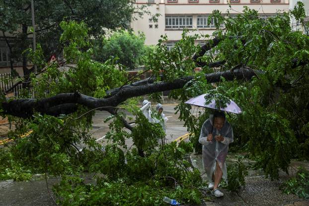 Passersby walk under a fallen tree after Typhoon Wipha hit in Hong Kong