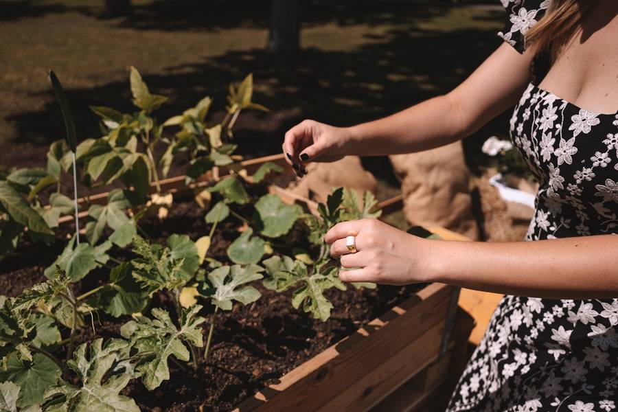 Chic Garden, vrtna zabava greenfluencerice Matee Frajsberger