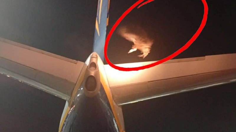 Bizarna scena na aerodromu na Kreti: Strvinar sletio na avion!