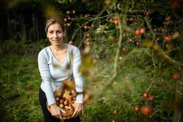 Middle,Aged,Woman,Picking,Apples,In,Her,Orchard,-,Soon