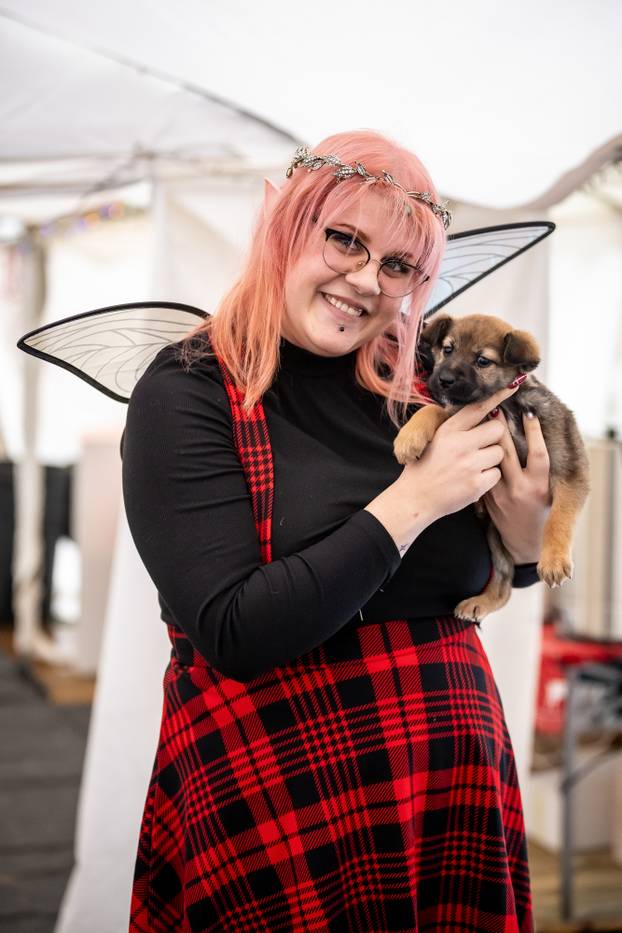 I psići vole advent: Preslatke fotke štenaca koji traže dom