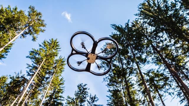 Pošumljavanje Grubišnog polja: To je prva sadnja šume dronom