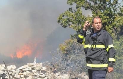 Makarska: Buknuo požar u borovoj šumi blizu mora