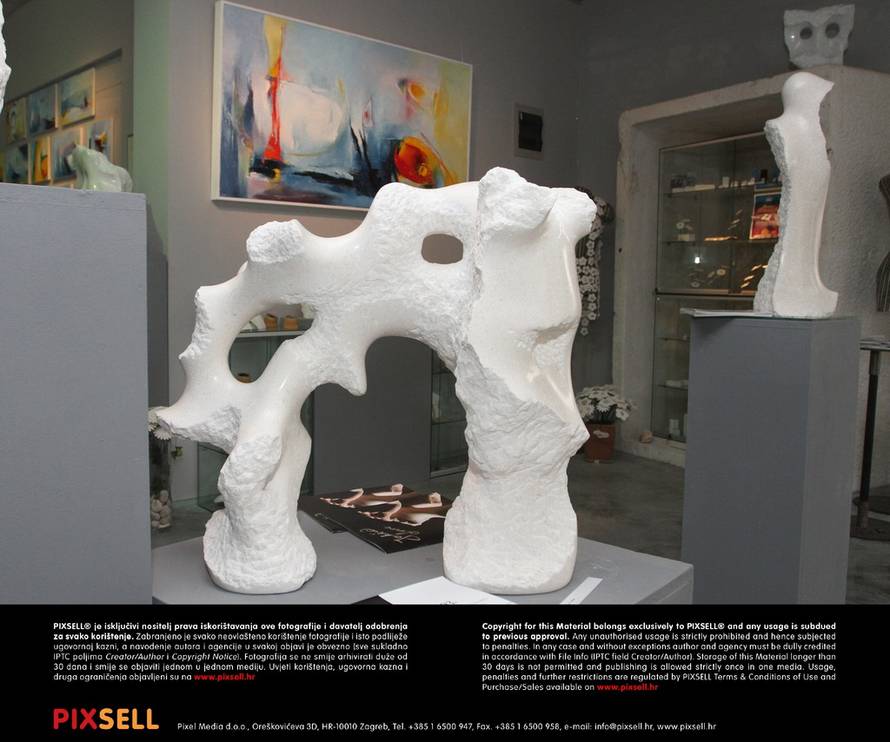 Ivana Ivanović/Pixsell