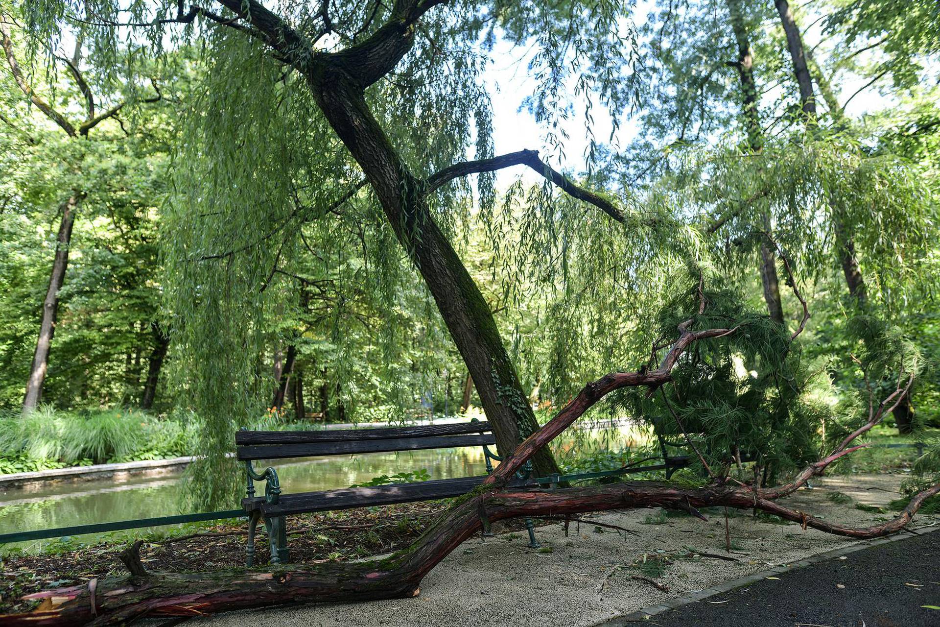 Evo Kako Dan Nakon Oluje Koja Je Poharala Zagreb Izgleda Zoo: 'Vrt Je ...