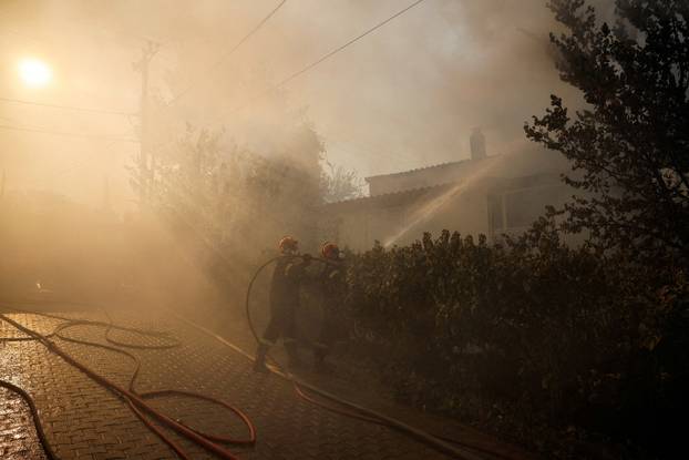Wildfire in Kryoneri near Athens