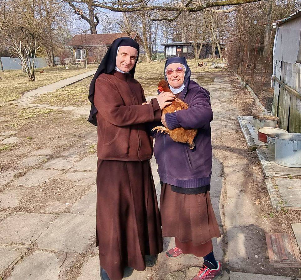 Kokoš Čupka pronašla novi dom: O njoj se brinu časne sestre iz samostana Karmel