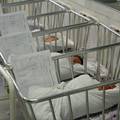 Broj poroda i dalje pada: 'Bebe i prije rođenja idu u Njemačku'