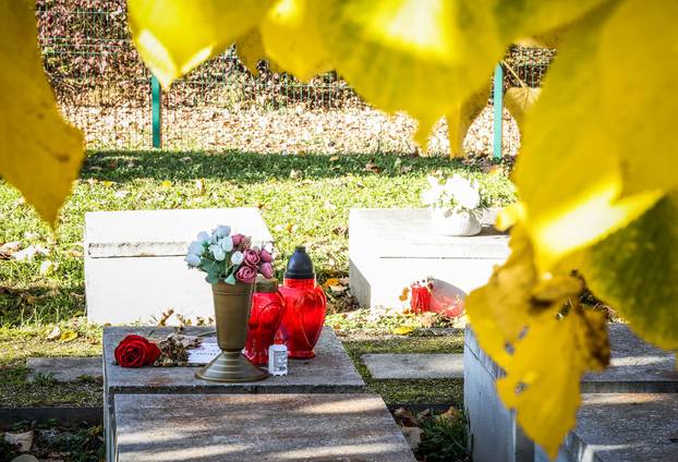Zagreb: Groblje kućnih ljubimaca u Dumovcu obišao je jedino jedan mačak