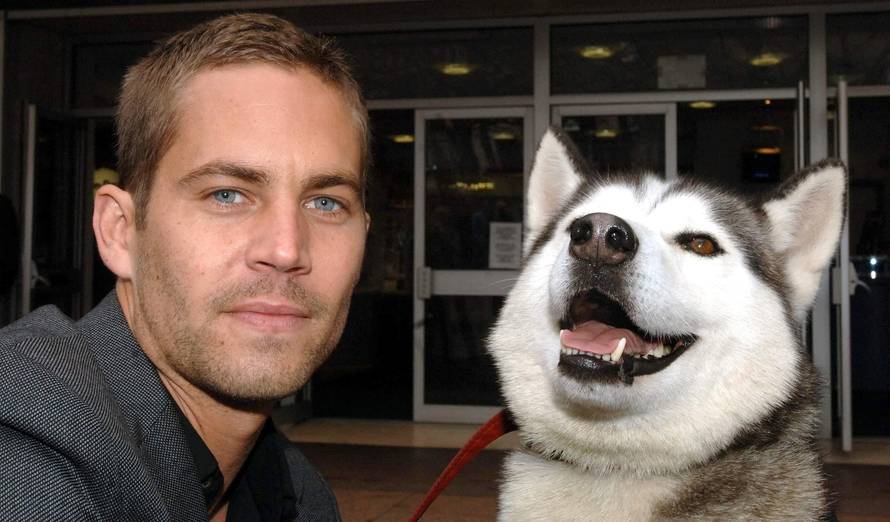 Poznati koji su nas napustili u 2013. godini