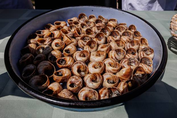 Prezentacija jela od puževa u organizaciji turisticke zajednice Grada Vrgorca i srednje škole Vrgorac