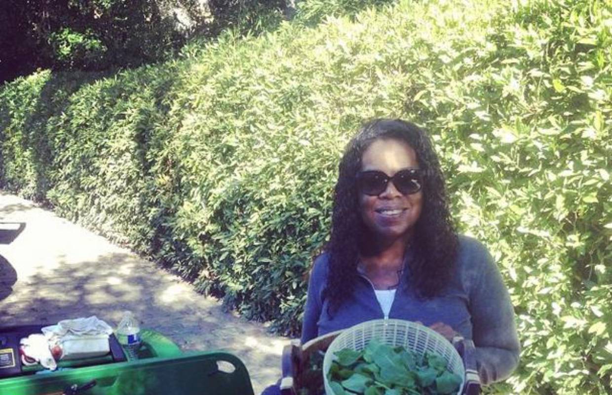 Neki na Maui idu na odmor, a vrtlarica Oprah uzgaja kelj i luk