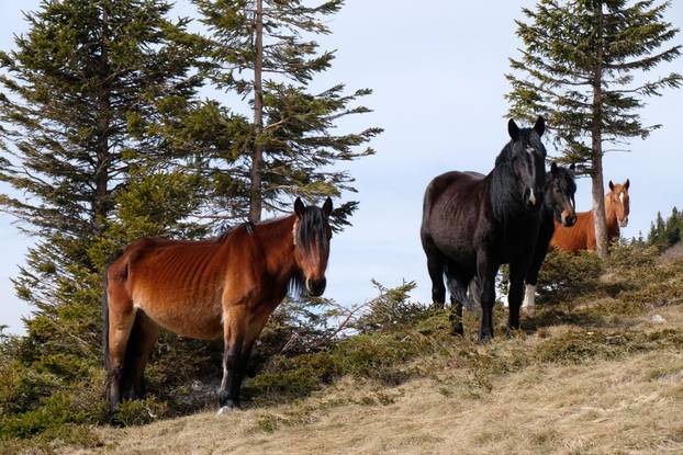 Velebit u proljeće prekriven snijegom