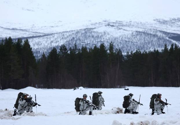 NATO Cold Response 2026 military exercise