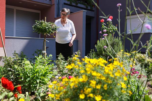 Zagreb: Jasenka Marija Kaštelan ima najljepši vrt na balkonu i ispred zgrade 