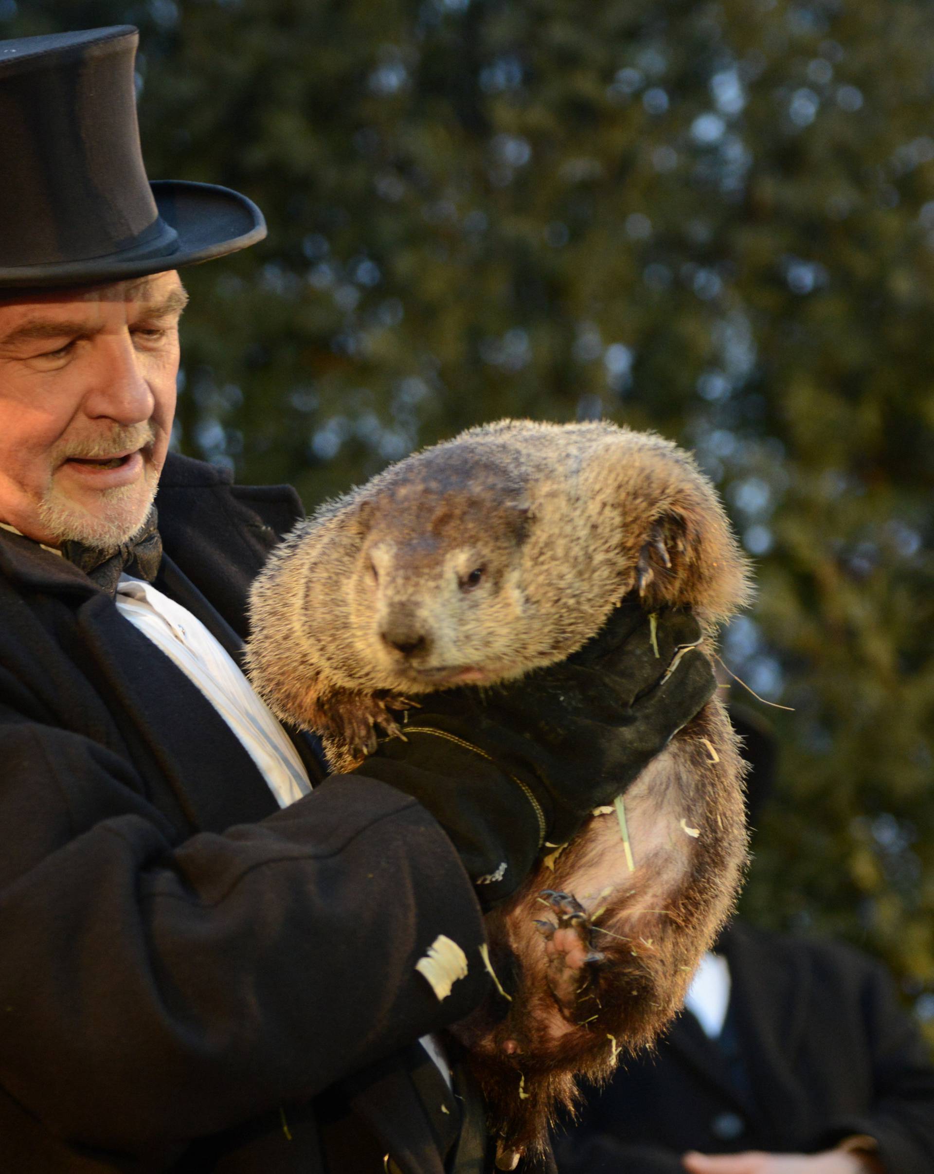 Handler John Griffiths introduces Punxsutawney Phil to the crowd on Groundhog Day in Punxsutawney