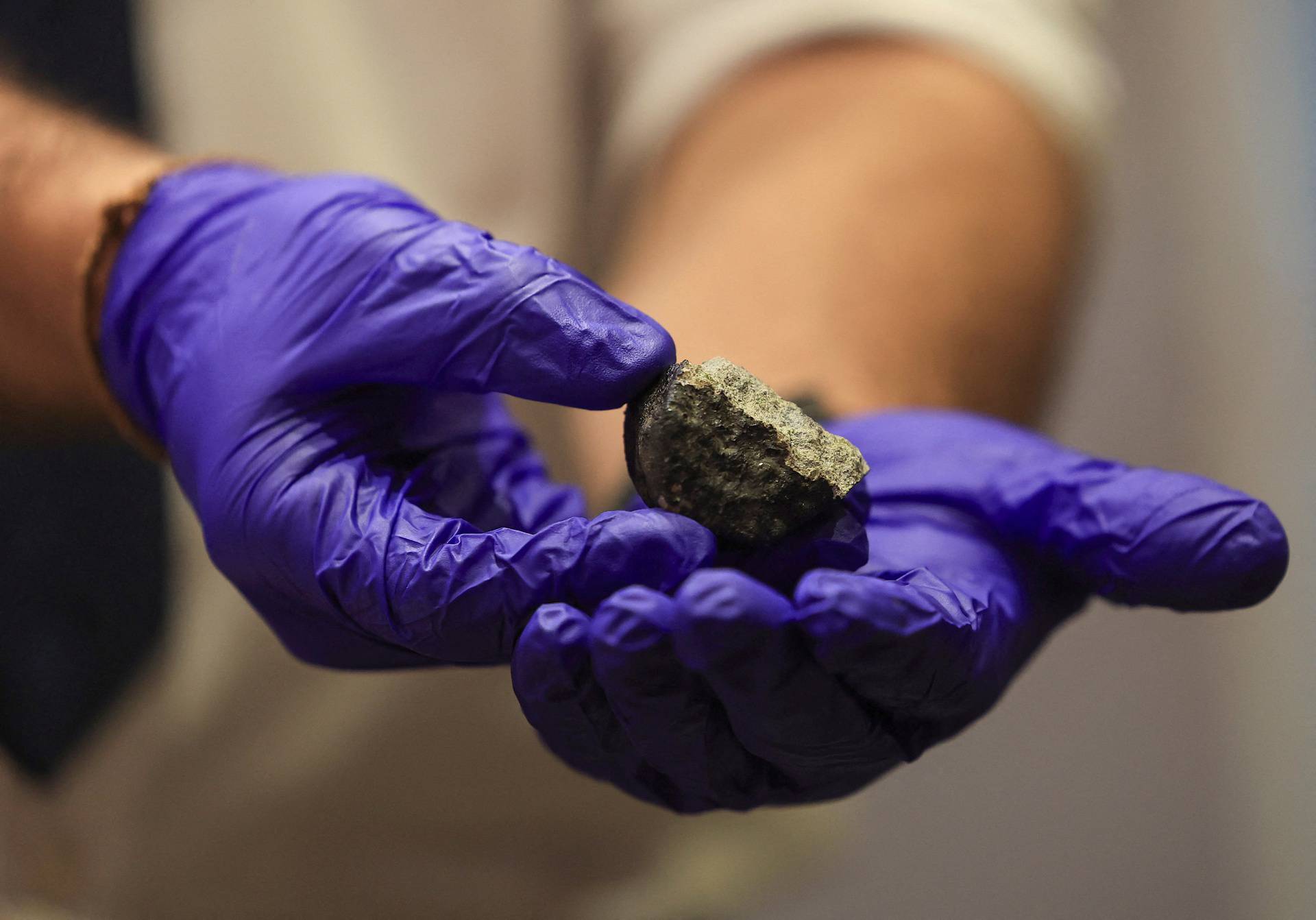 Unveiling of fragments of a meteorite seen in South African skies last week