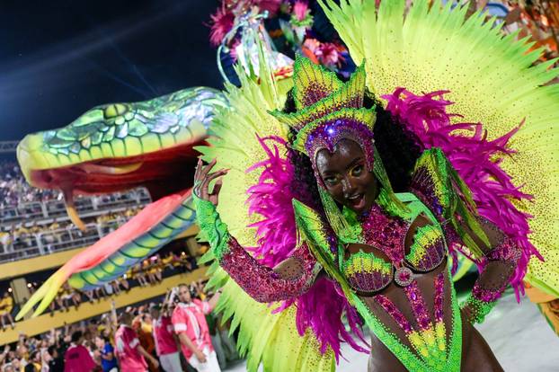 Carnival in Rio de Janeiro
