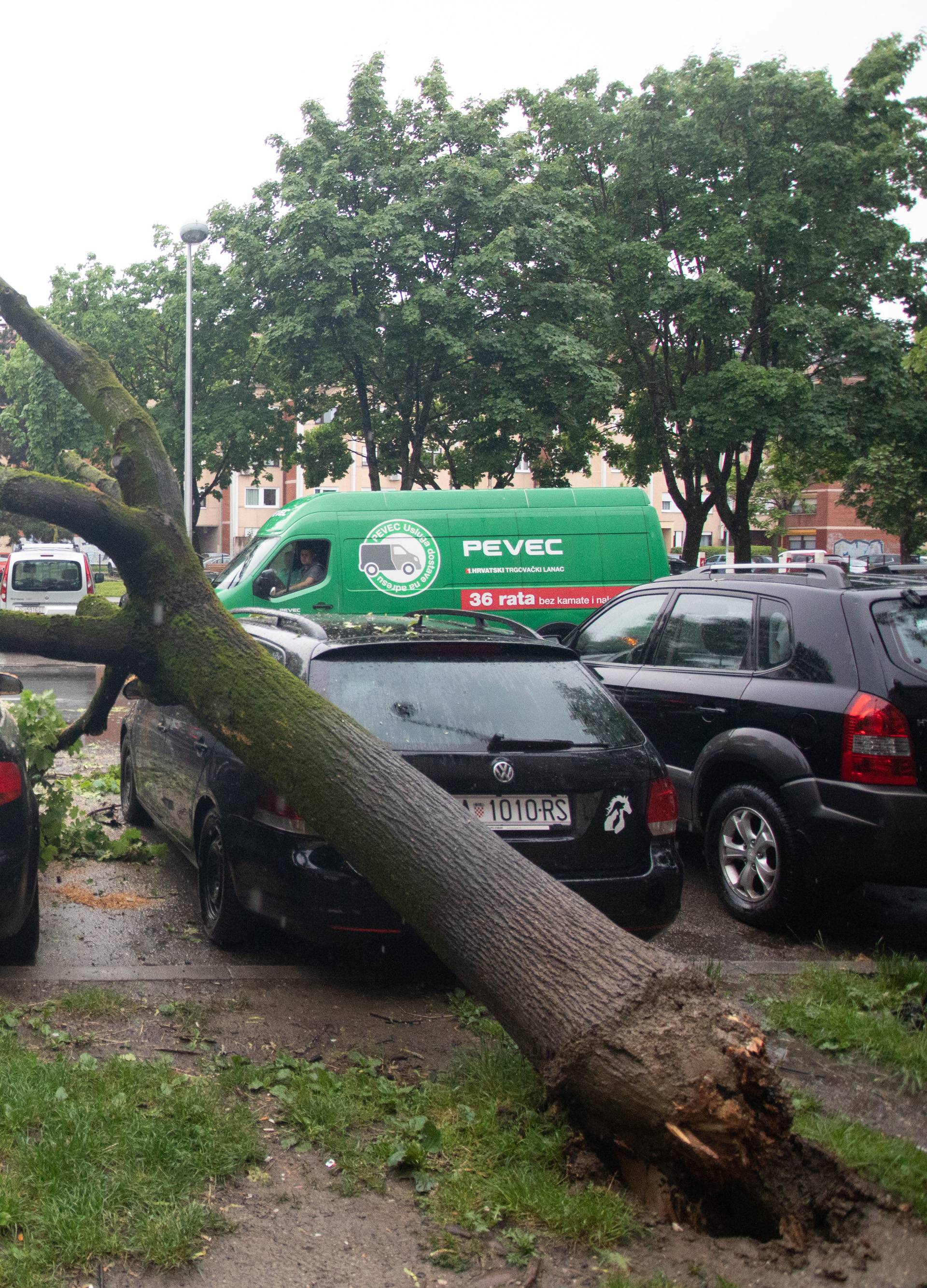 Drvo u Zagrebu palo na aute: 'Užas, samo je počelo pucati'