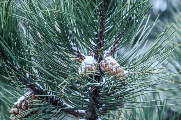 Snijeg je počeo padati i u Zagrebu
