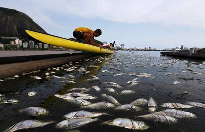 Tisuće uginulih riba: Ovdje će veslači nastupati na Igrama...