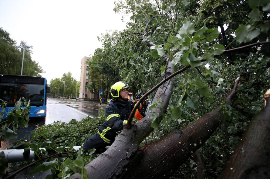 Zagreb: Vatrogasci uklanjaju stablo koje je palo u Ulici Svetog Mateja