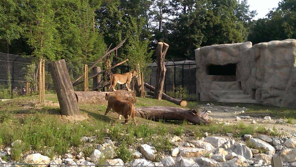 Zagrebački zoološki vrt