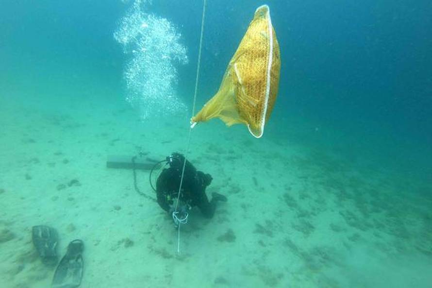 Malena, krhka periska Morana proslavila prvi rođendan: 'Svaka njena reakcija je poklon'