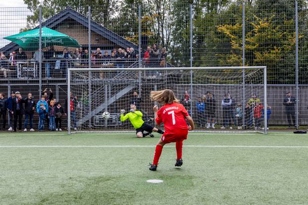 Much: Bivši golman Dinama Gorg Koch organizirao humanitarnu oproštajnu utakmicu