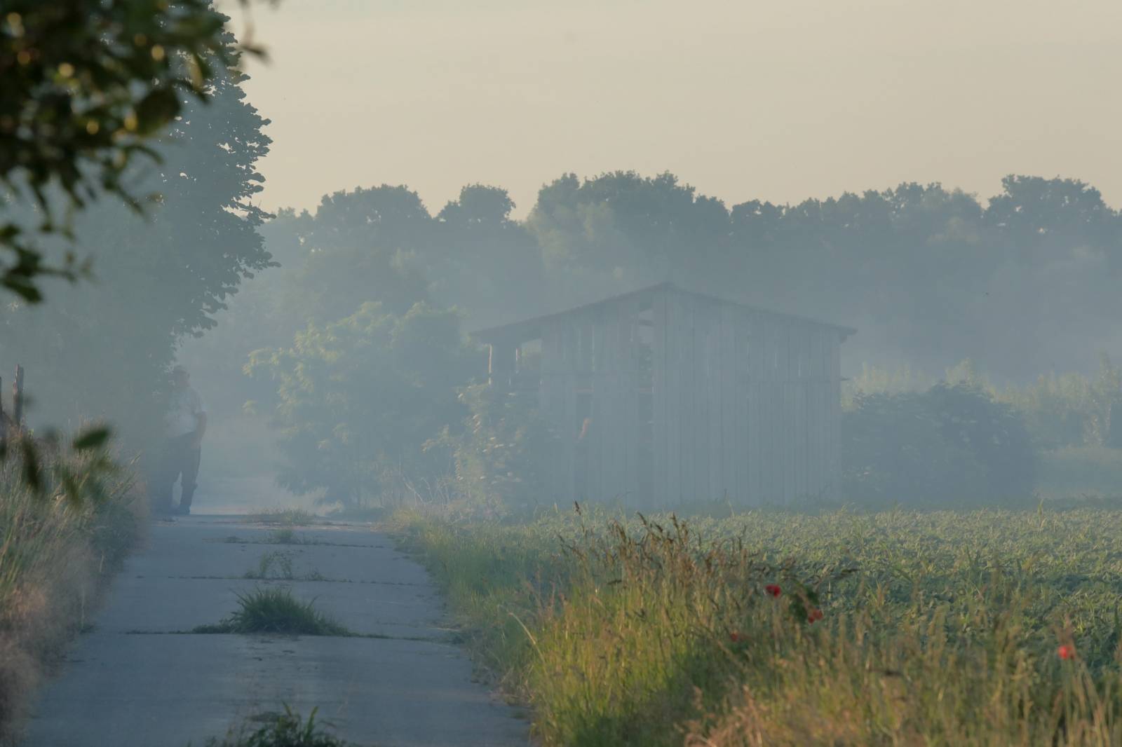 Prvo ovogodišnje zaprašivanje komaraca u Osijeku